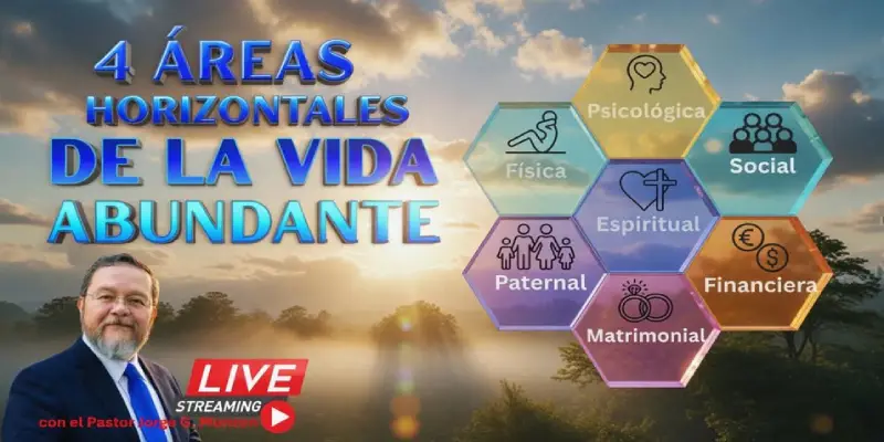 4 áreas horinzontales